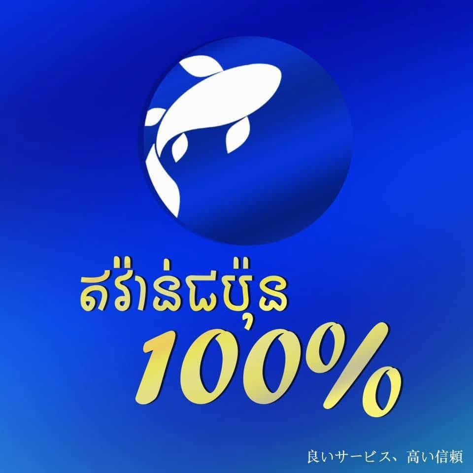 Logo Preview